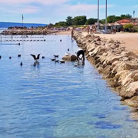 Mirko * Omis